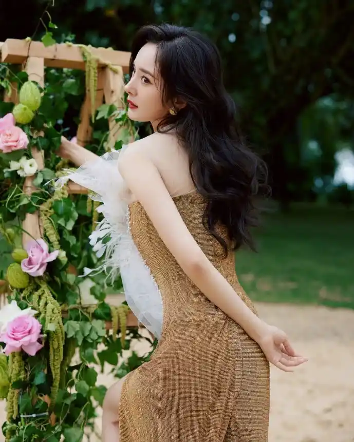 少年泰坦下载数据分析